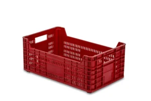 Cajas Cítricos Y Caqui 11C 1