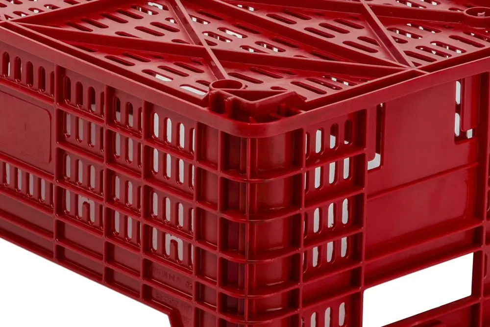 Cajas Cítricos Y Caqui 11C detalle 2