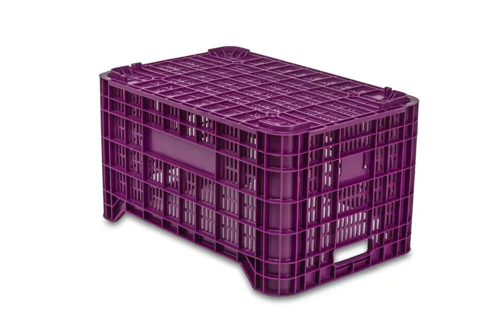 Cajas Verduras JC 12C 2
