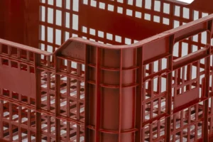 Cajas Verduras 17C detalle 1