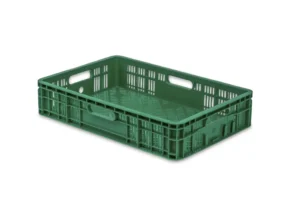 Cajas Frutos Rojos Y Tropicales 18C 1