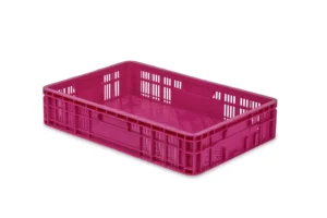 Cajas Frutos Rojos Y Tropicales 18C Cerrada 1