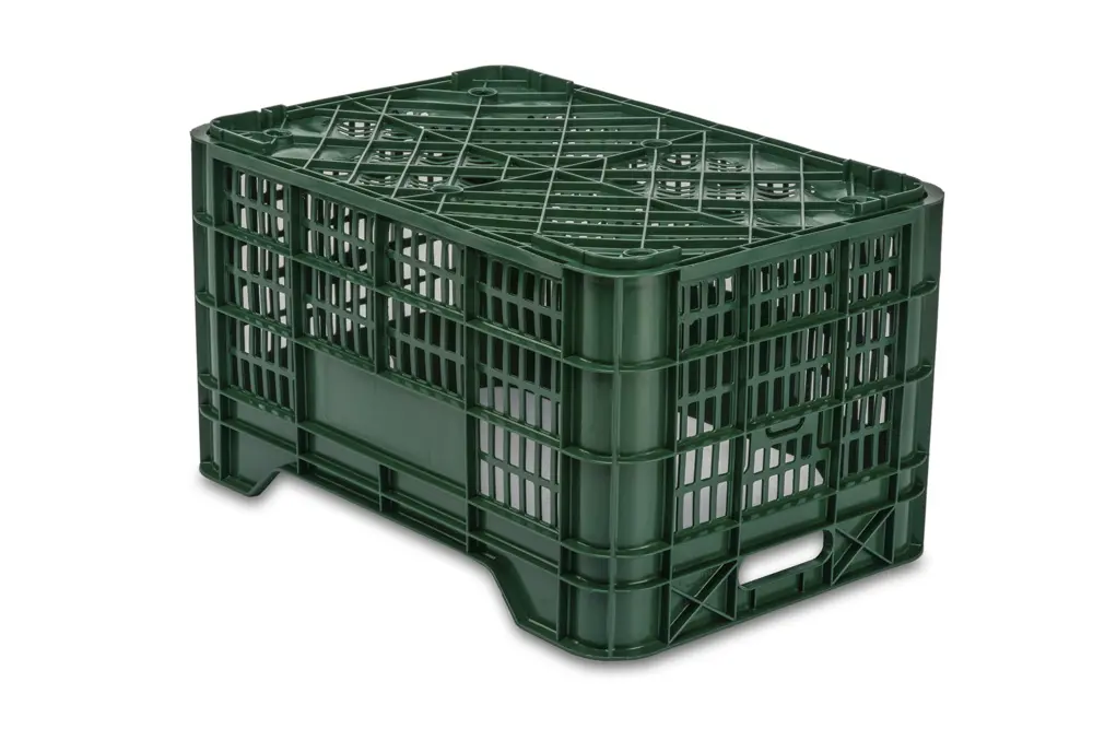 Cajas Verduras 20C 2