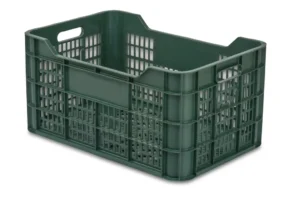 Cajas Verduras 21C 1