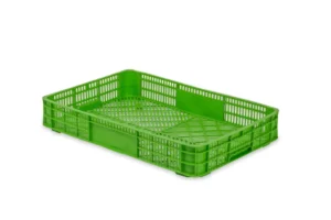 Caja De Frutos Rojos Y Tropicales 28C-1