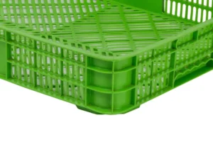 Caja De Frutos Rojos Y Tropicales 28C-Detalle-1