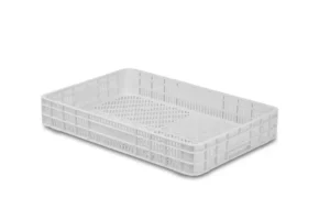 Caja De Frutos Rojos Y Tropicales 29C-SS-1