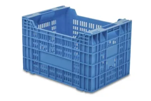 Cajas Cítricos Y Caqui MC5 1