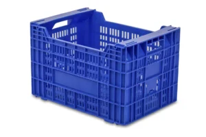 Cajas Cítricos Y Caqui MC6 1